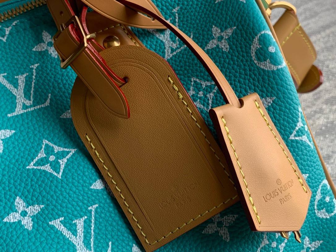 Сумка Louis Vuitton 6