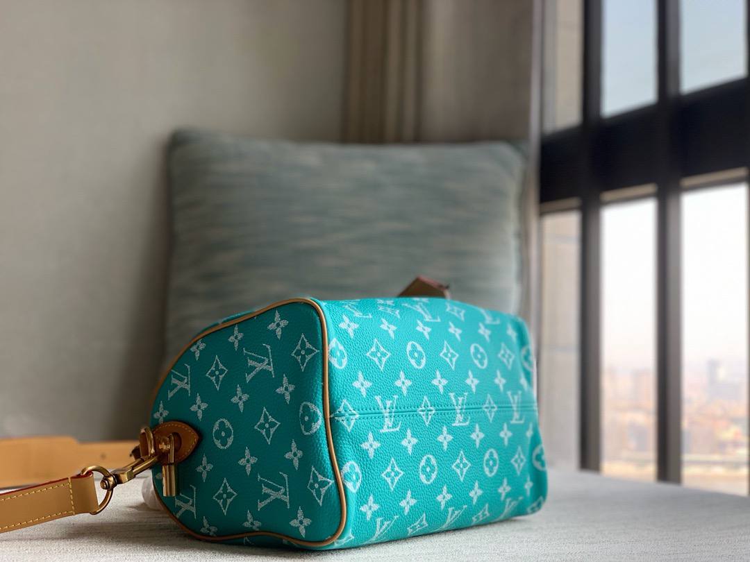 Сумка Louis Vuitton 8