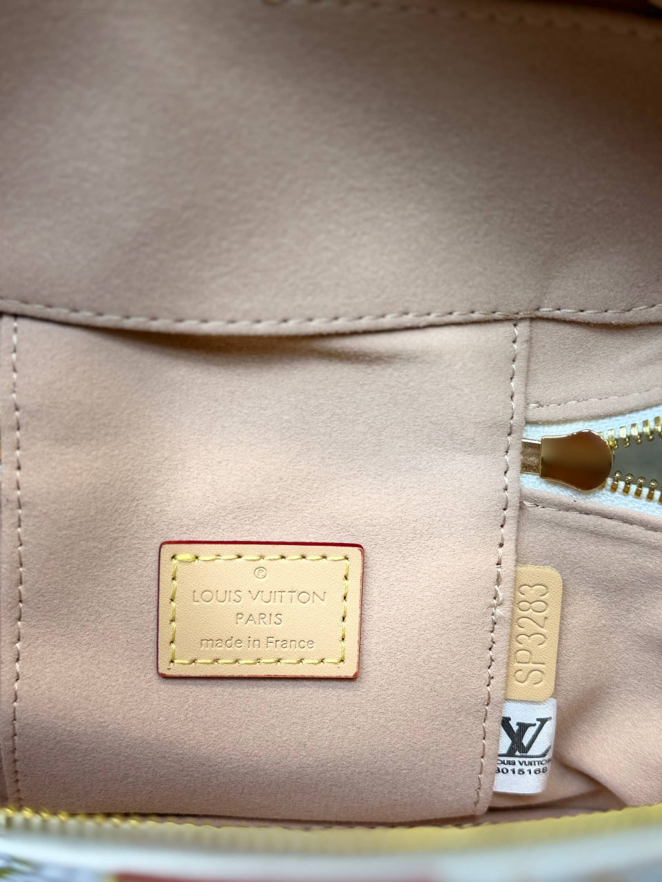 Сумка Louis Vuitton 10