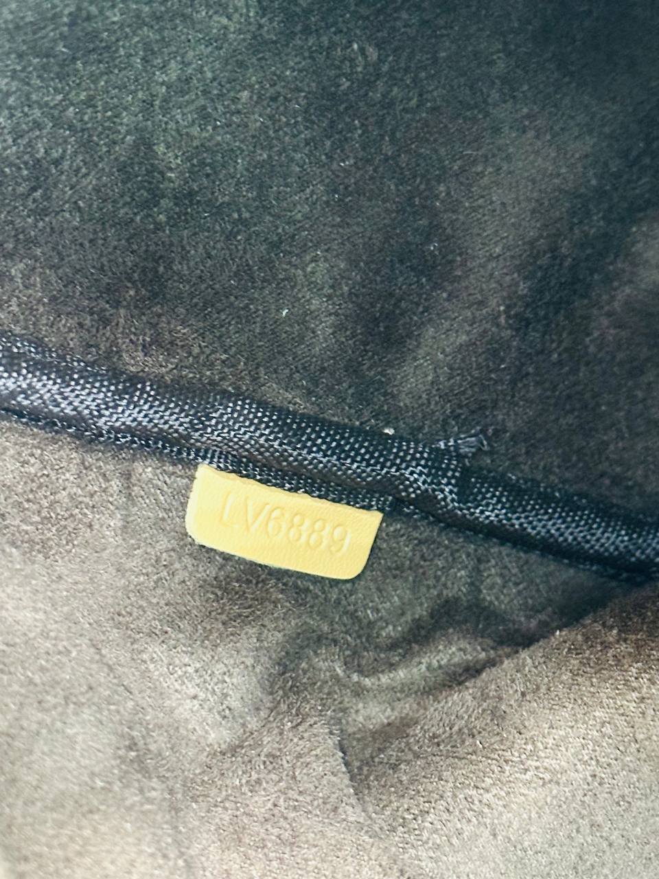 Сумка Louis Vuitton Speedy Soft 30 10