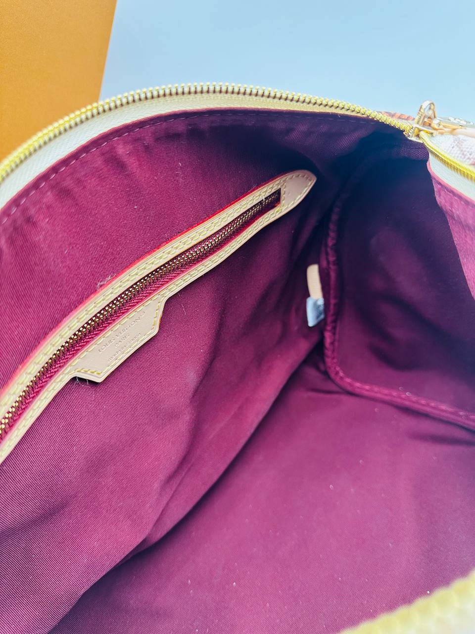 Сумка Louis Vuitton Speedy Soft 30 9
