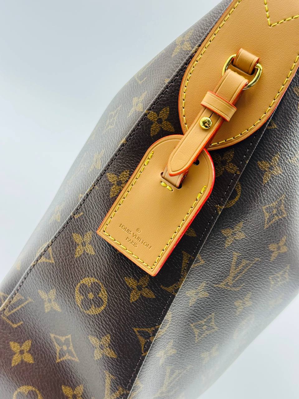 Сумка Louis Vuitton Speedy Soft 30 4