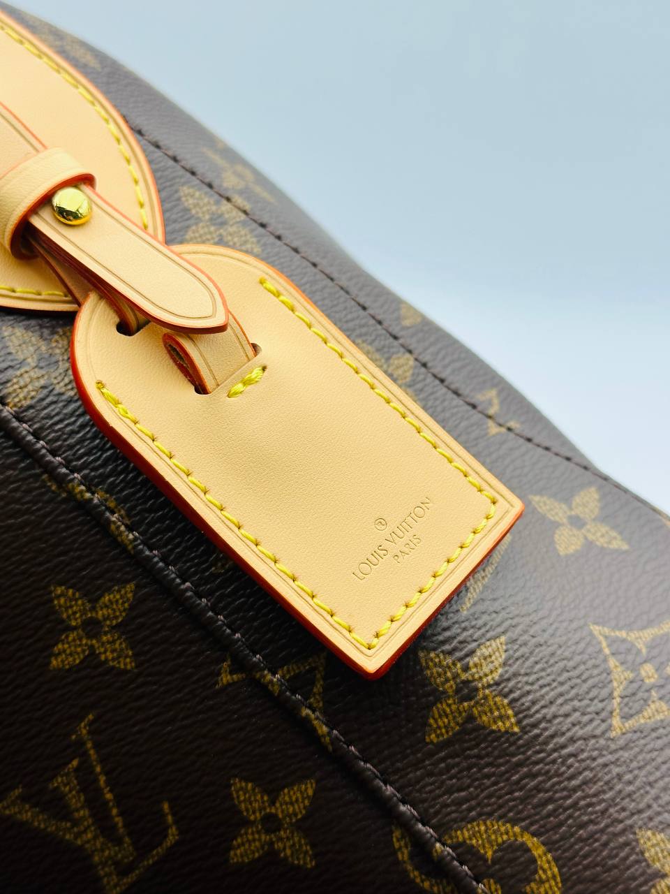 Сумка Louis Vuitton Speedy Soft 30 6