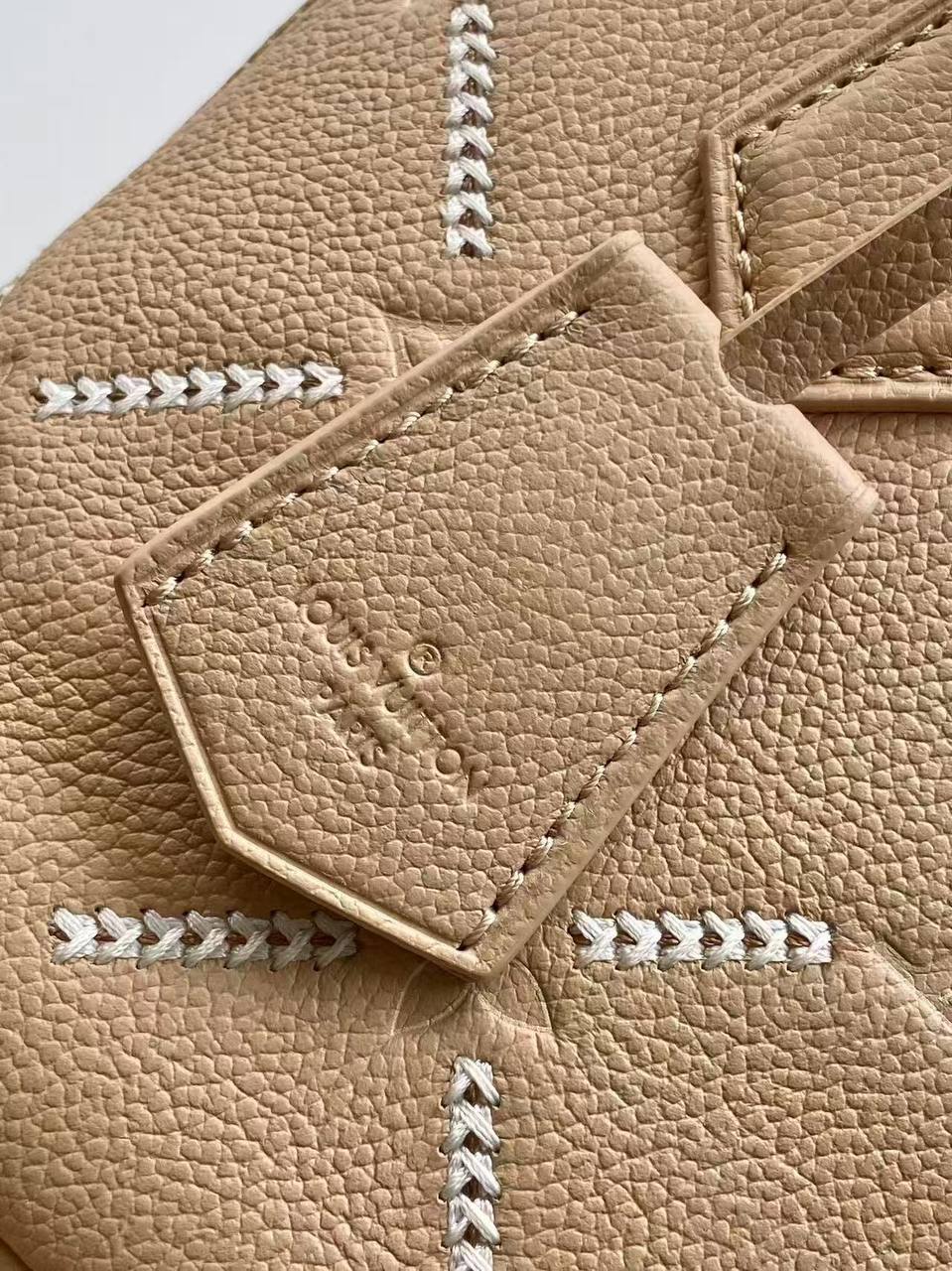 Сумка Louis Vuitton 6
