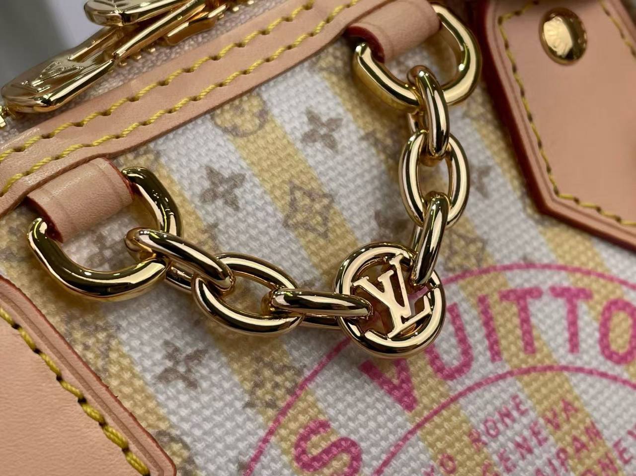 Сумка Louis Vuitton 5
