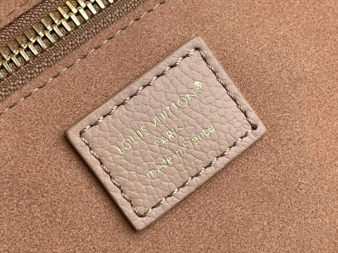 Сумка Louis Vuitton 10