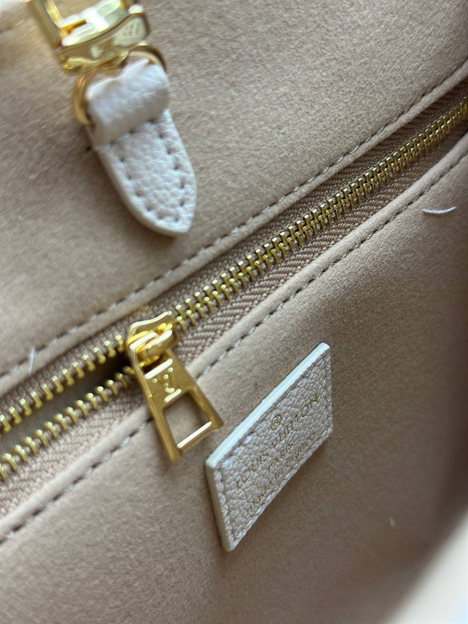 Сумка Louis Vuitton 5