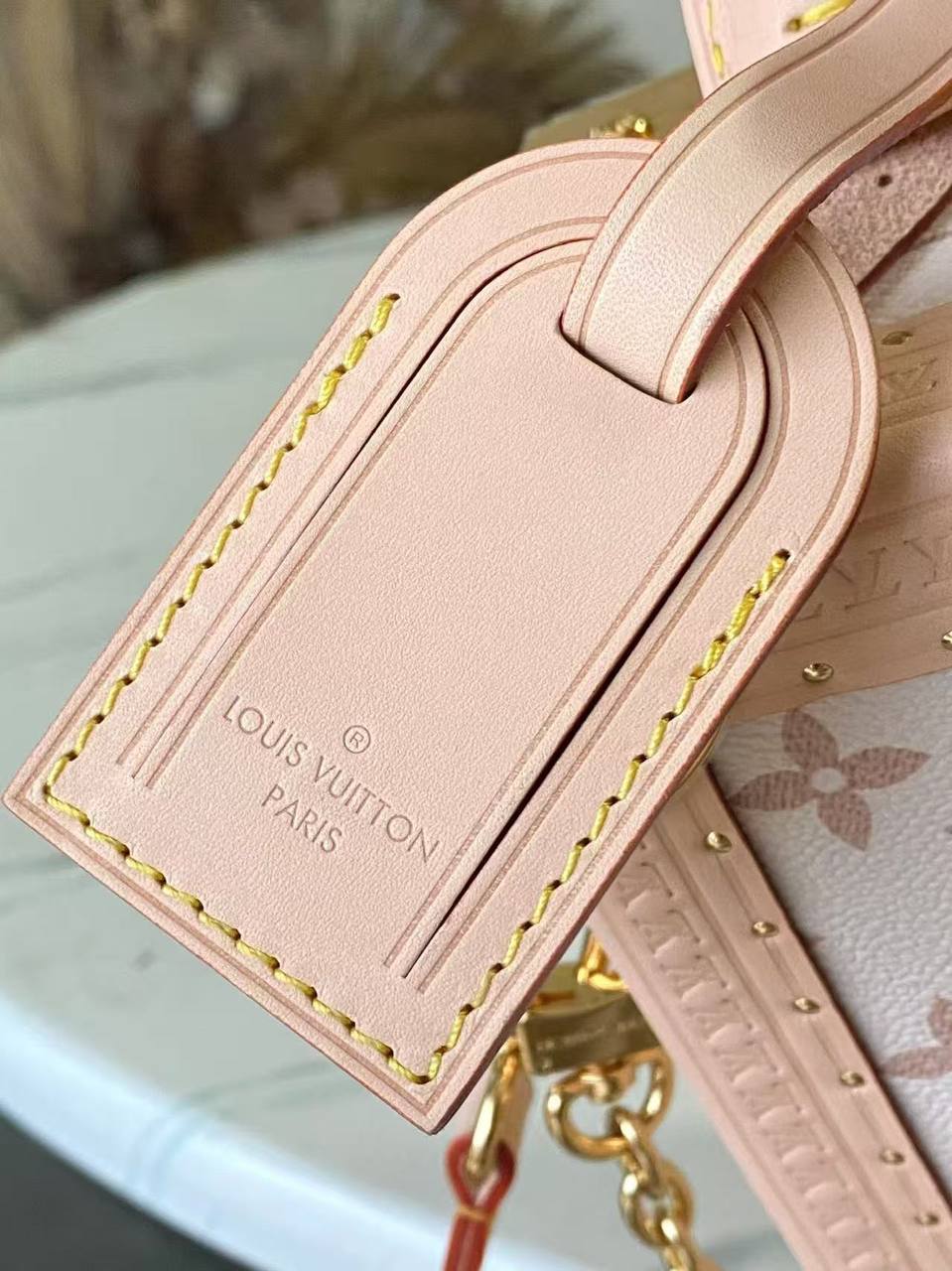 Сумка Louis Vuitton 5