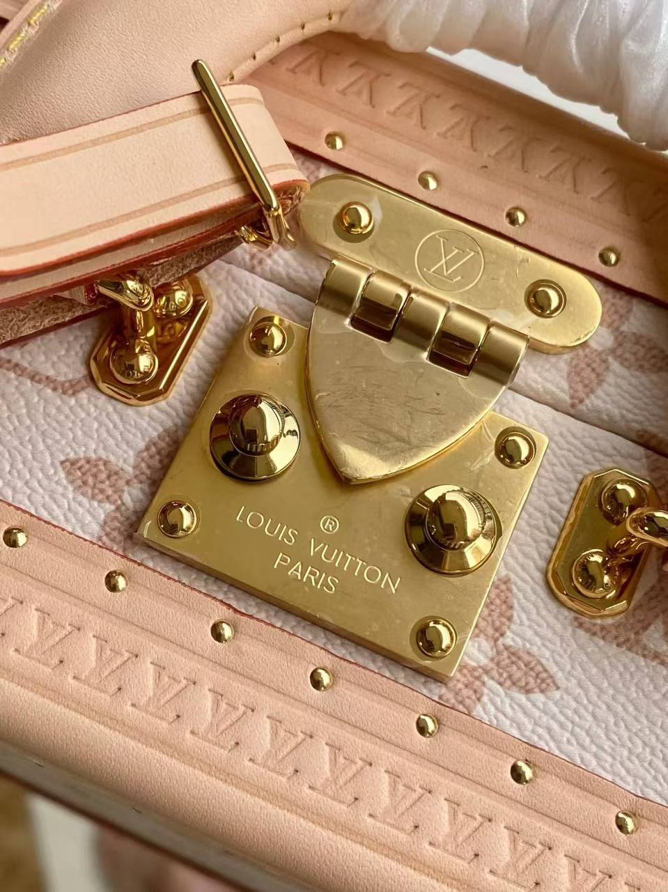 Сумка Louis Vuitton 6