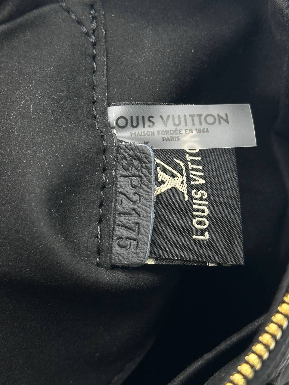 Сумка Louis Vuitton 10