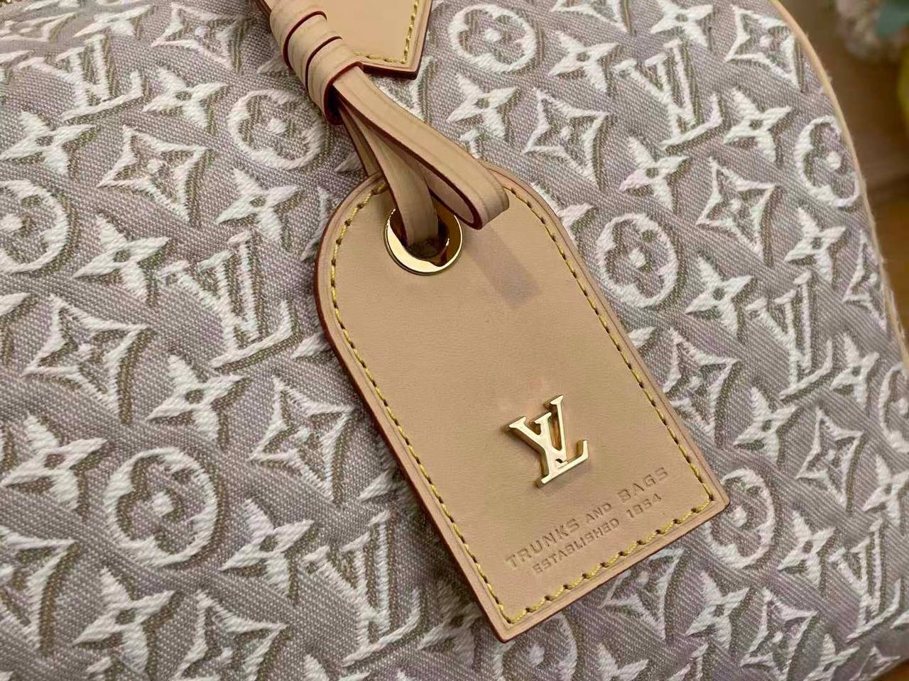 Сумка Louis Vuitton 5
