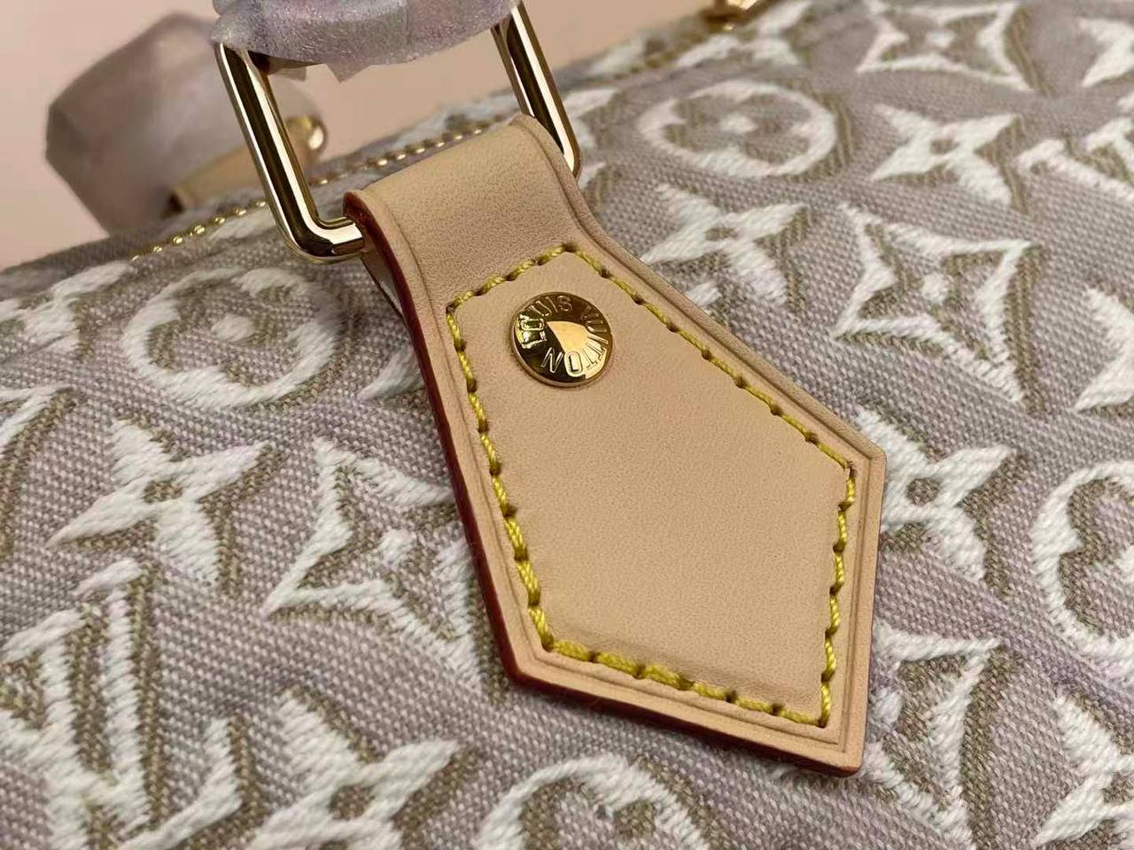 Сумка Louis Vuitton 6