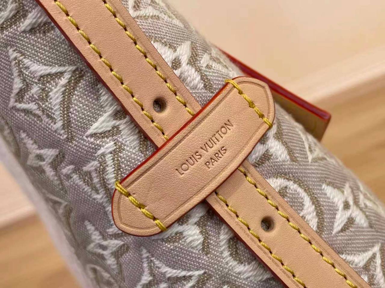 Сумка Louis Vuitton 6