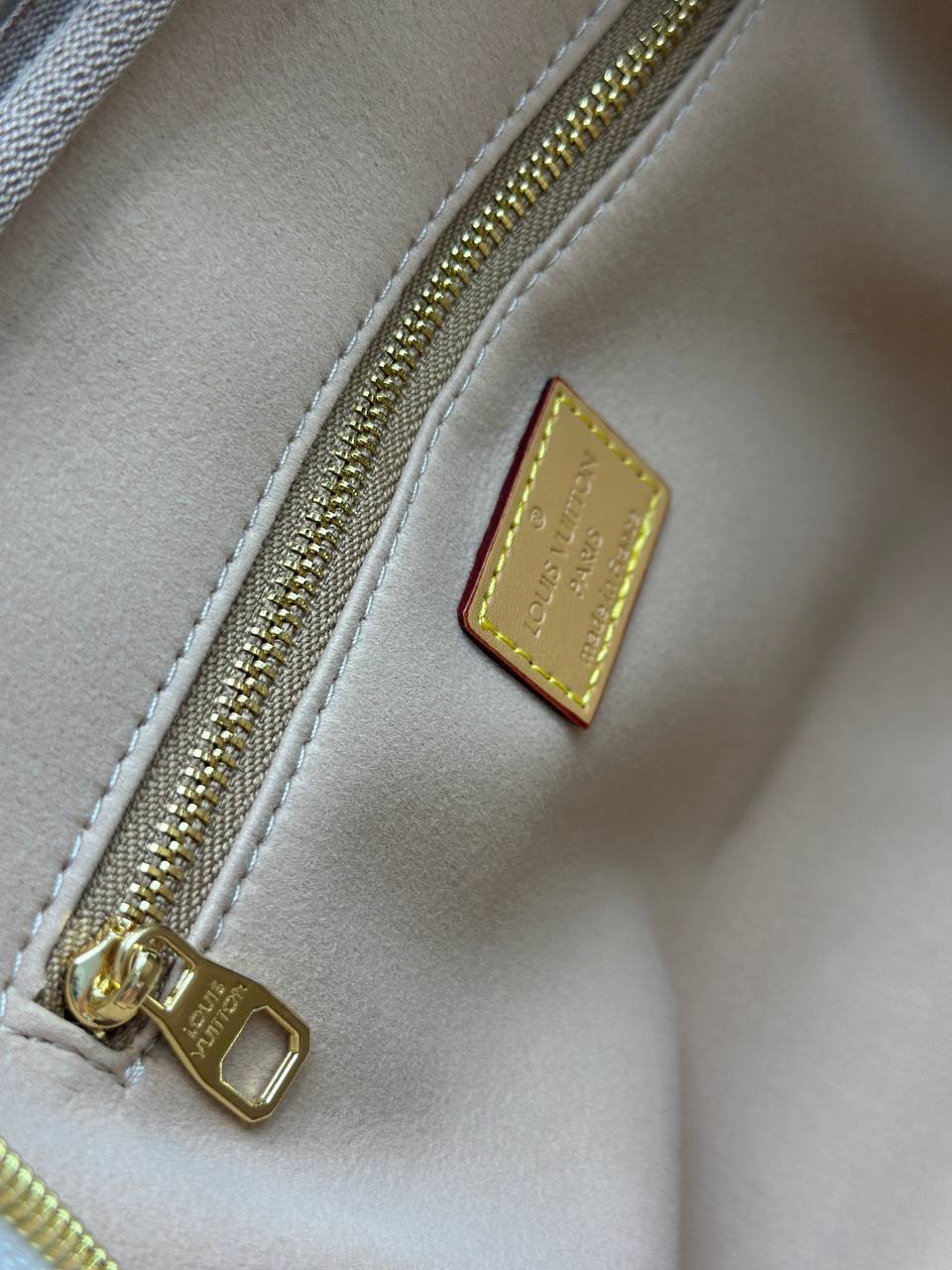 Сумка Louis Vuitton 6