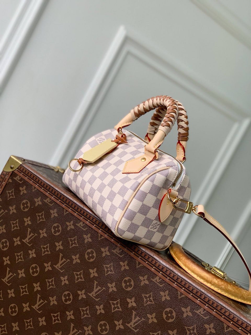 Сумка Louis Vuitton 2