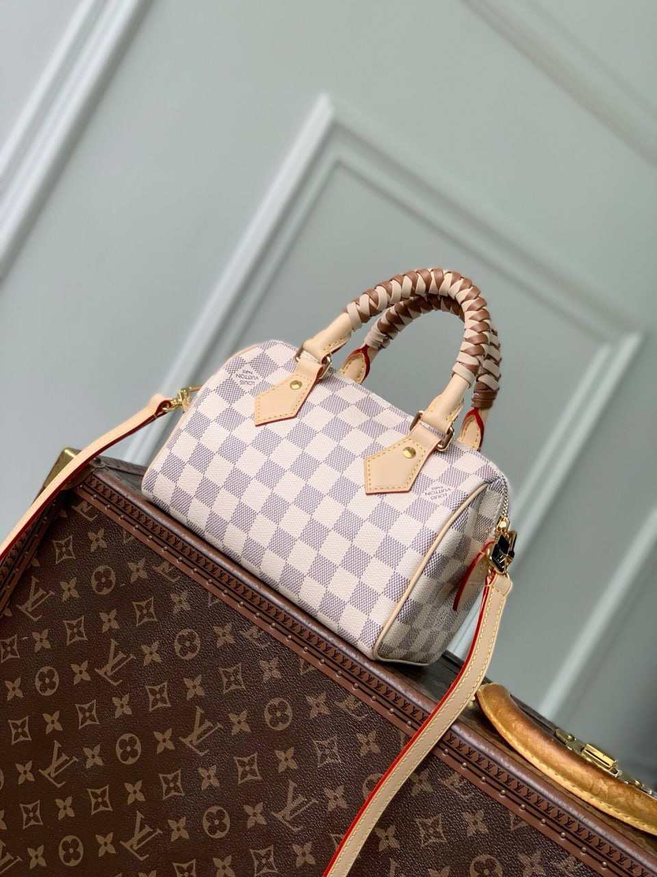 Сумка Louis Vuitton 3