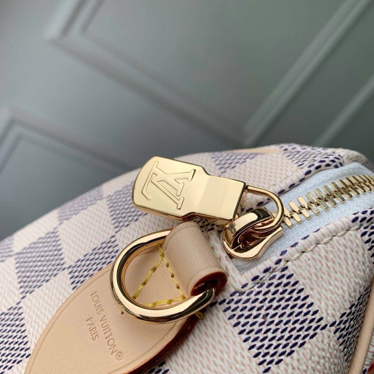 Сумка Louis Vuitton 4