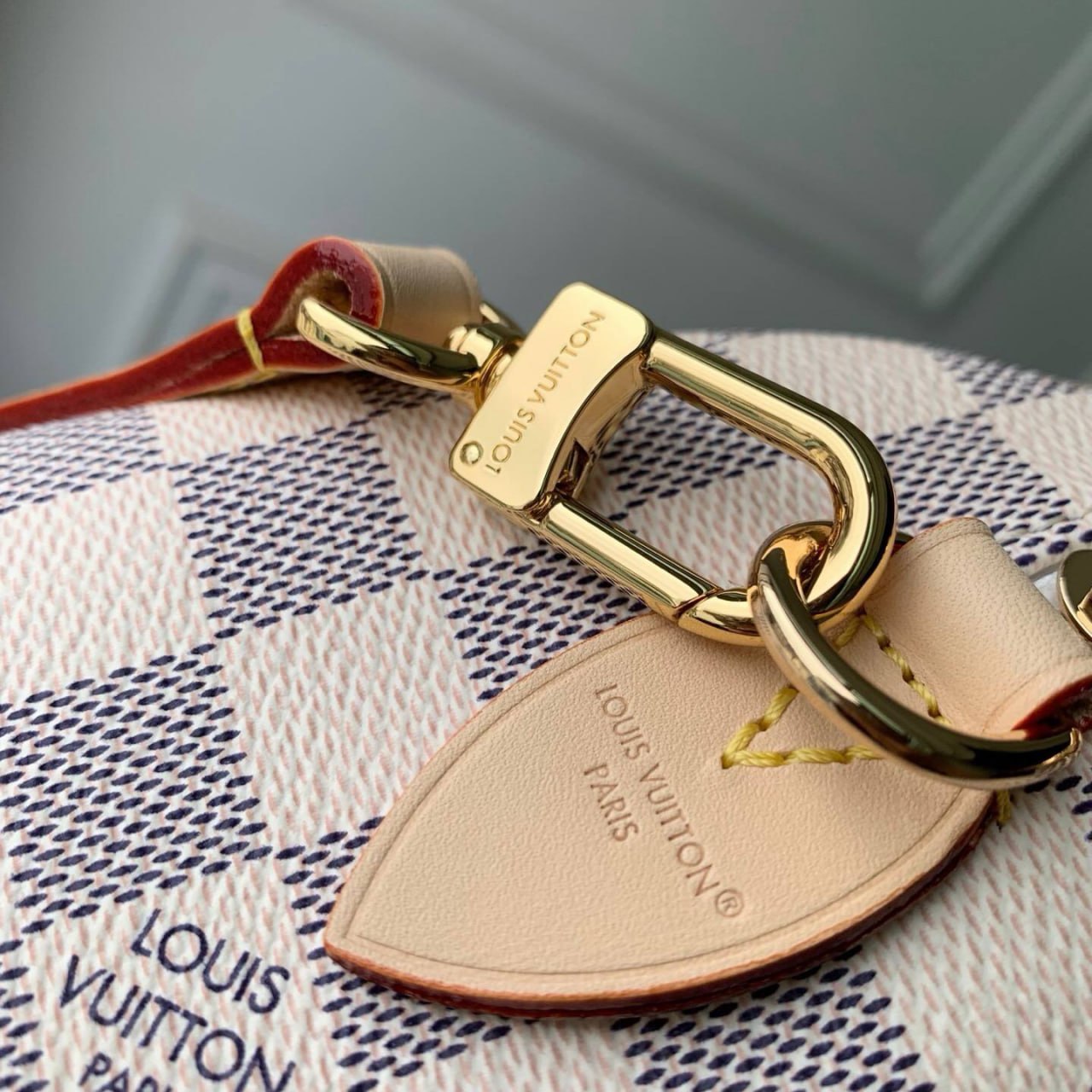 Сумка Louis Vuitton 5