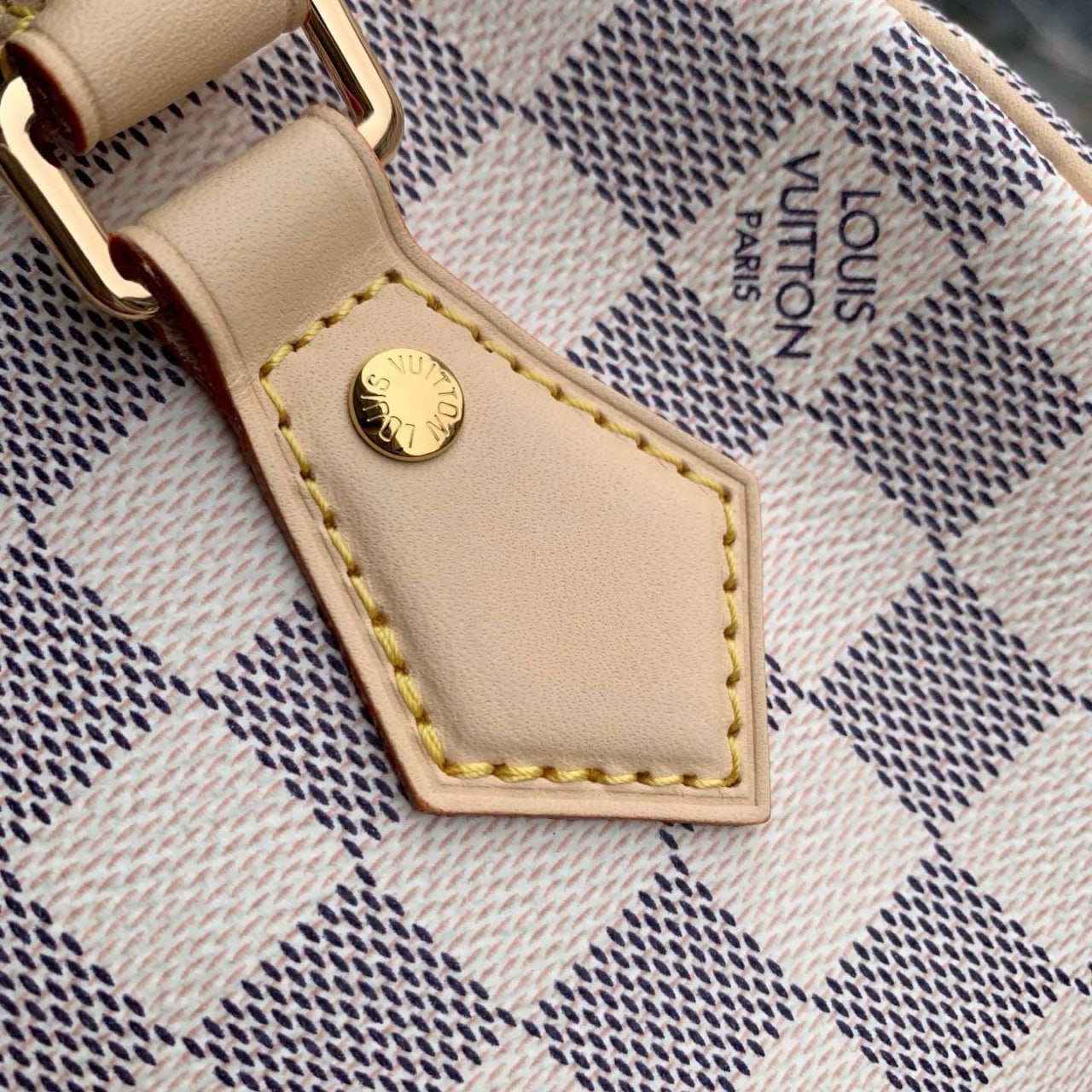 Сумка Louis Vuitton 6