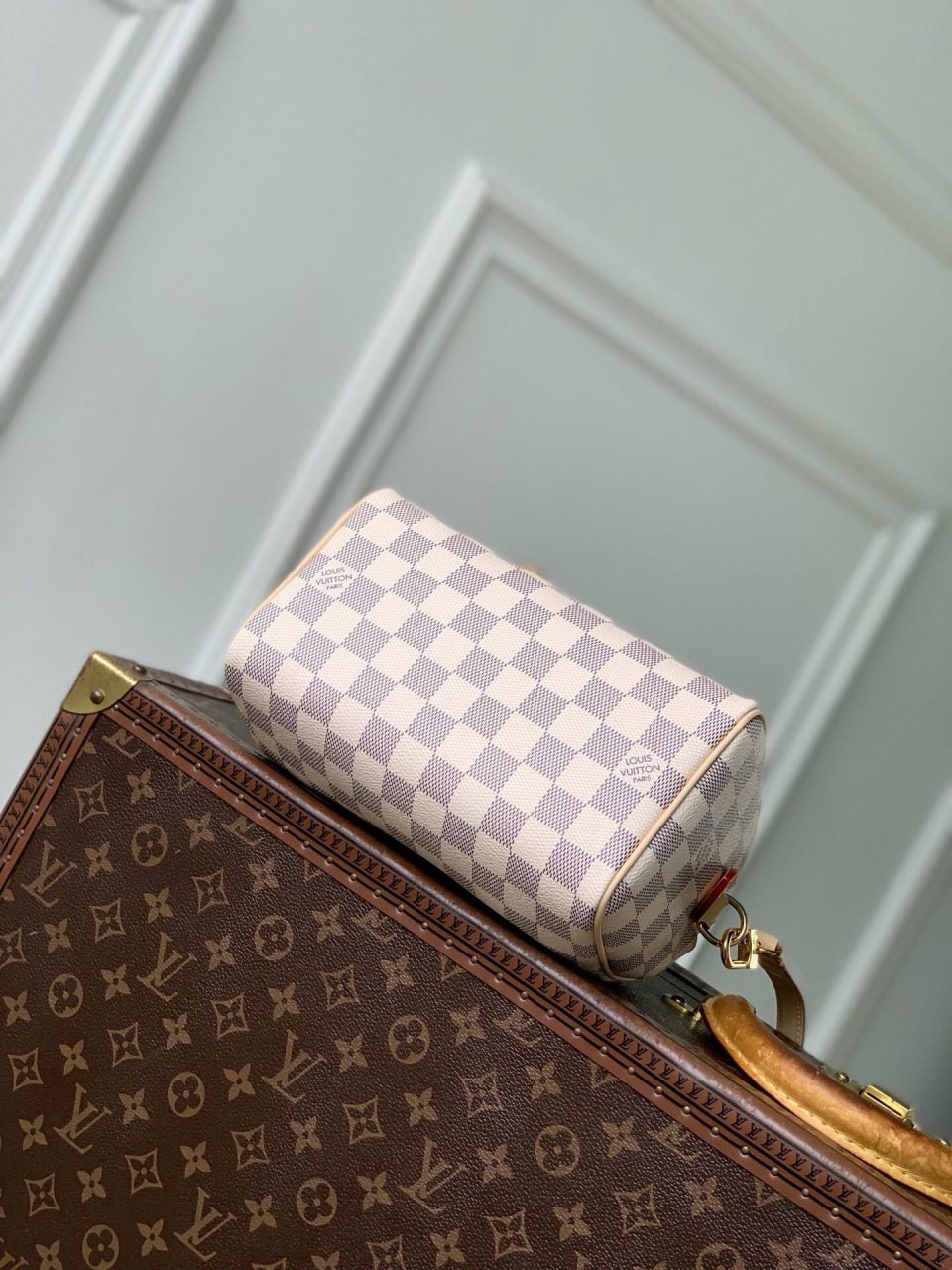 Сумка Louis Vuitton 8