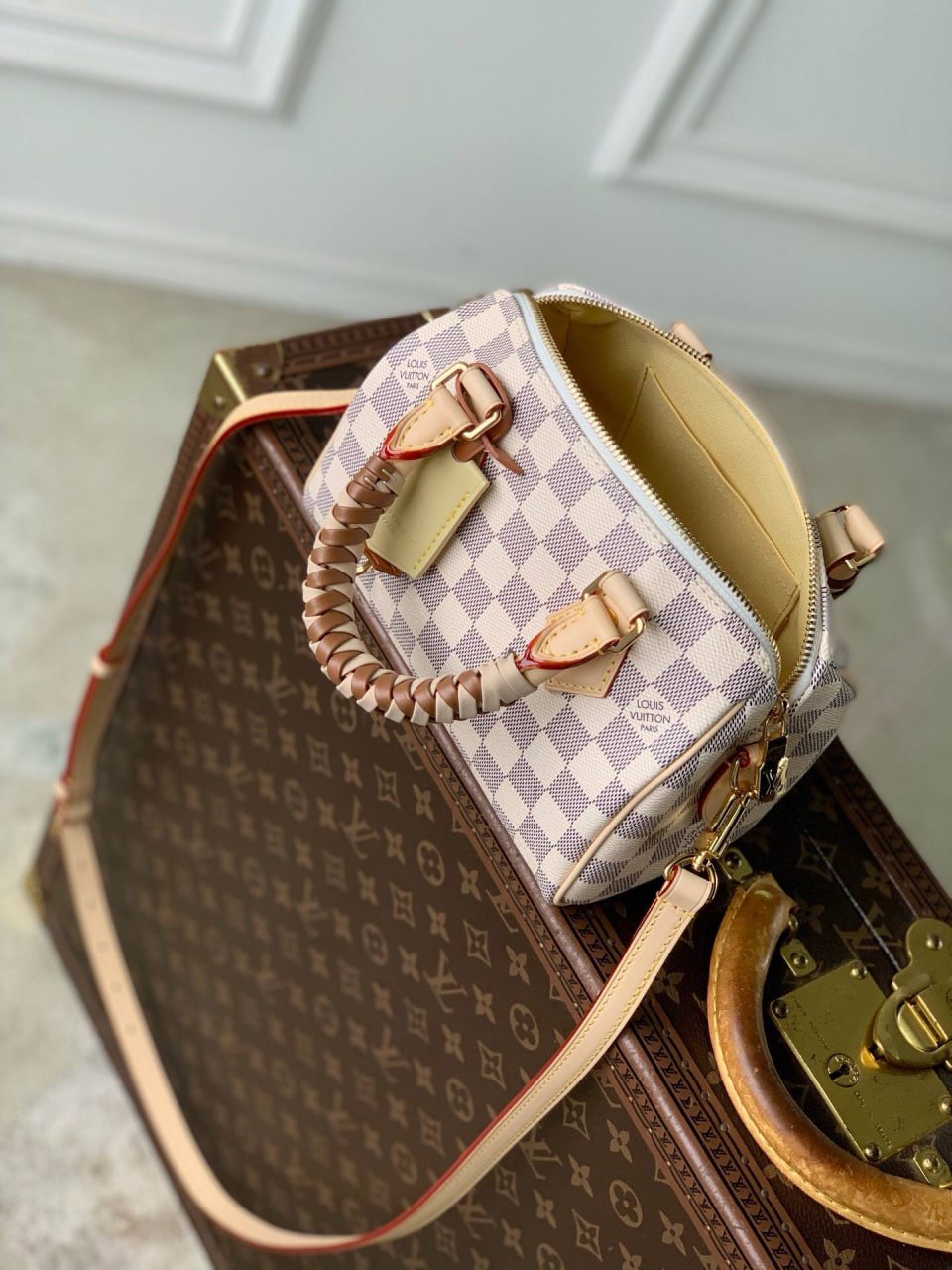 Сумка Louis Vuitton 9