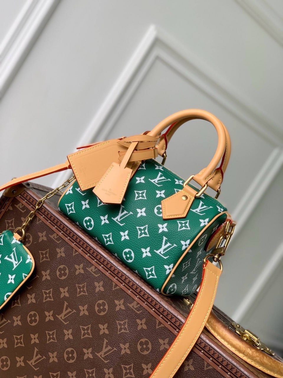 Сумка Louis Vuitton