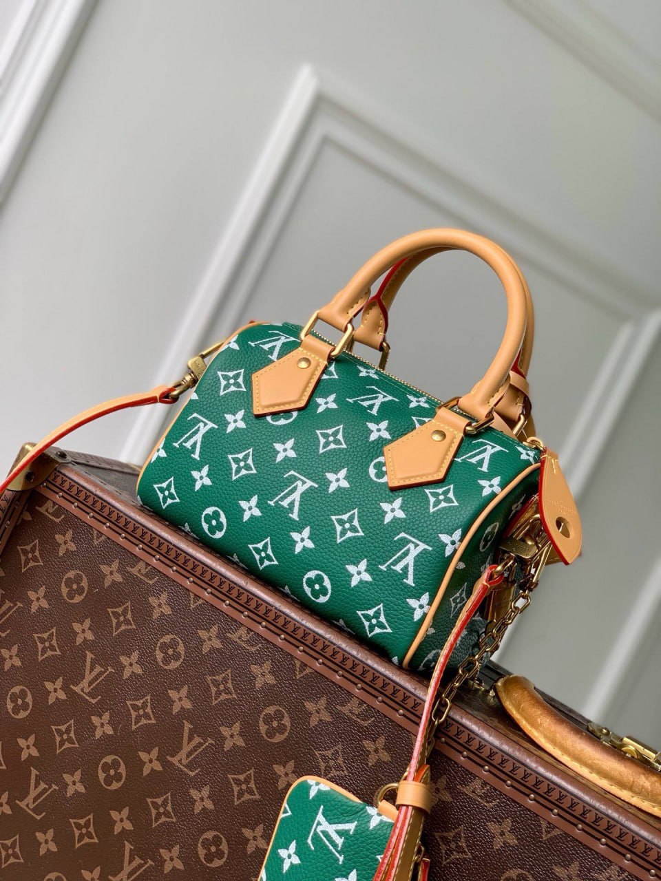 Сумка Louis Vuitton 3