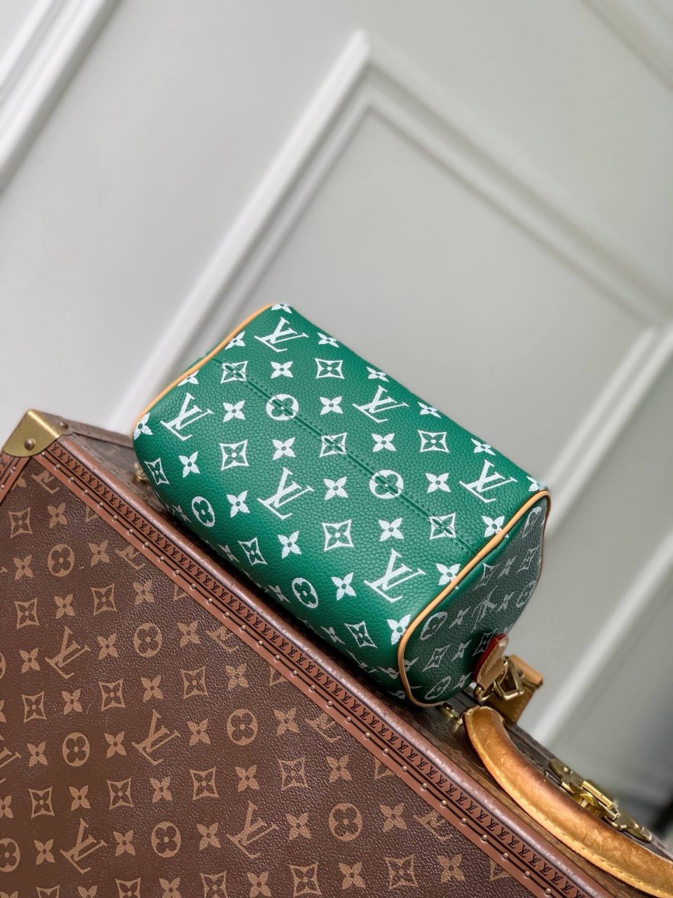 Сумка Louis Vuitton 8