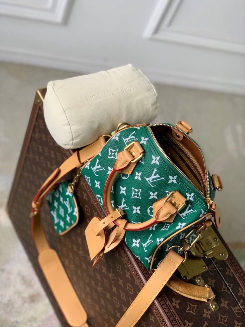 Сумка Louis Vuitton 9