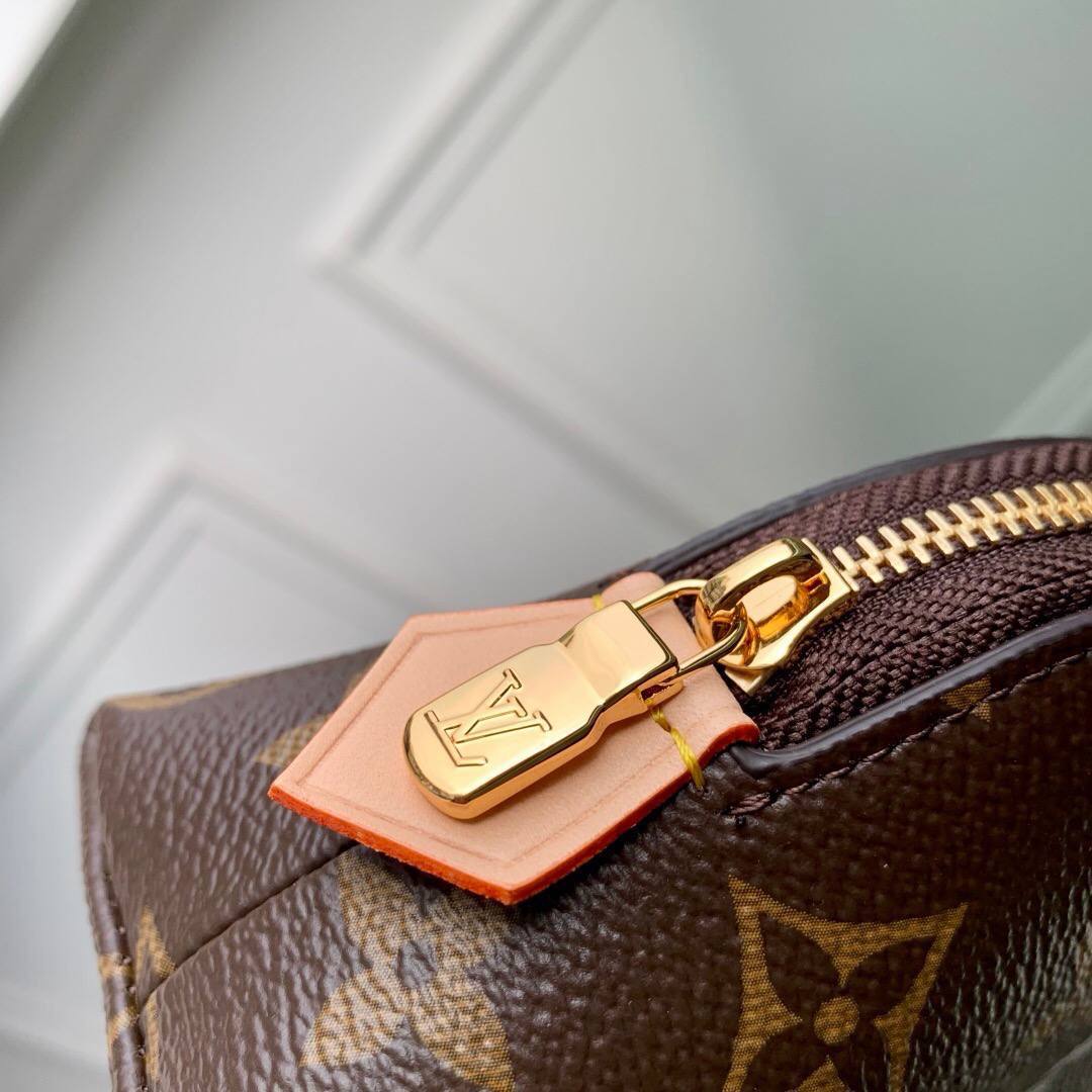 Сумка Louis Vuitton 4