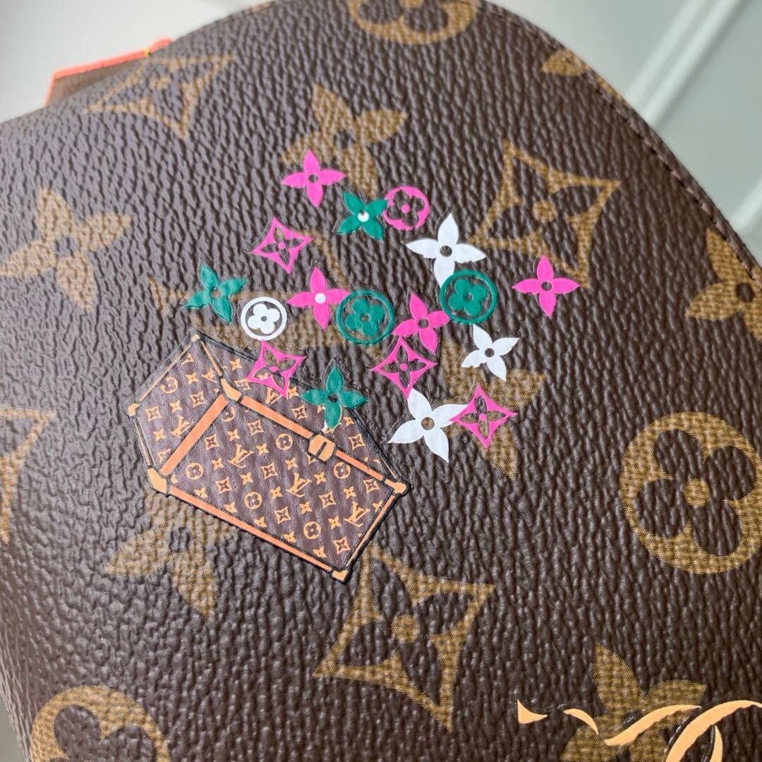Сумка Louis Vuitton 6