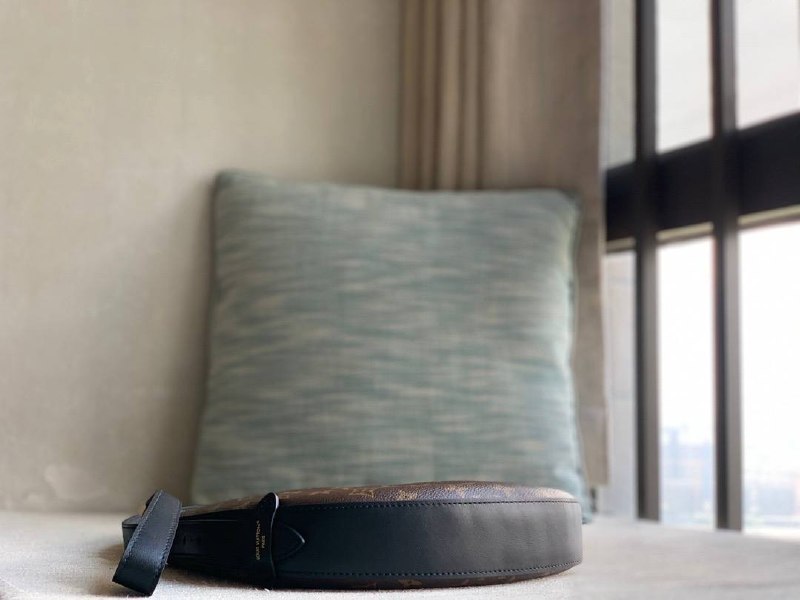 Сумка Louis Vuitton Cookie BB 7