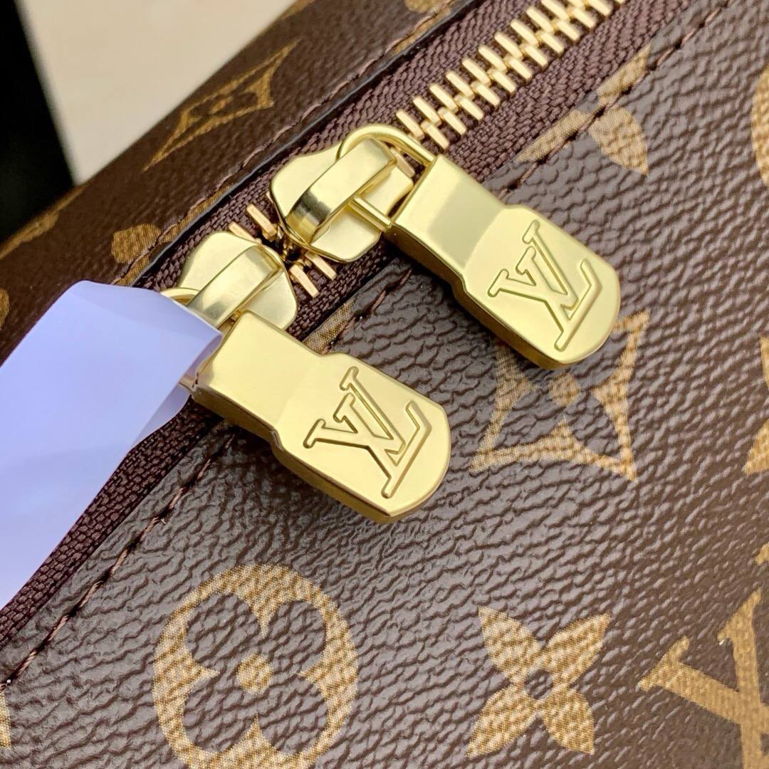 Сумка Louis Vuitton 4