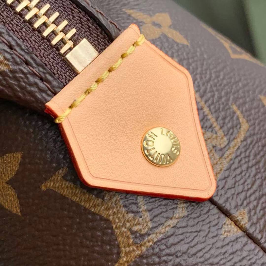 Сумка Louis Vuitton 5