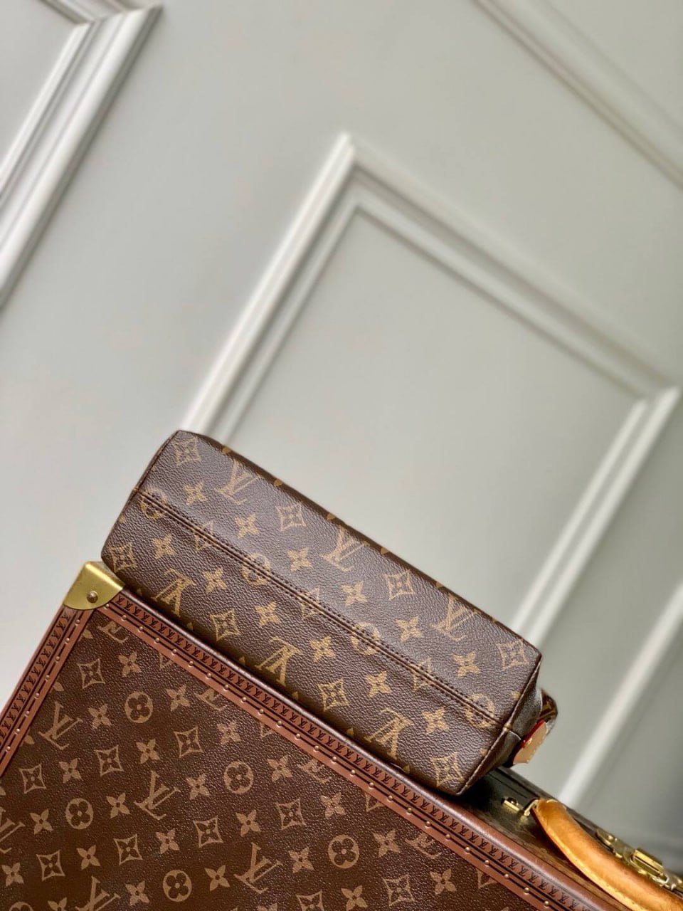 Сумка Louis Vuitton 6