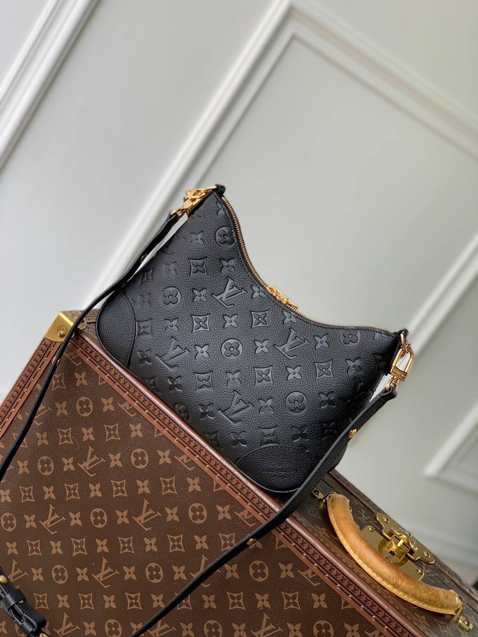 Сумка Louis Vuitton 3