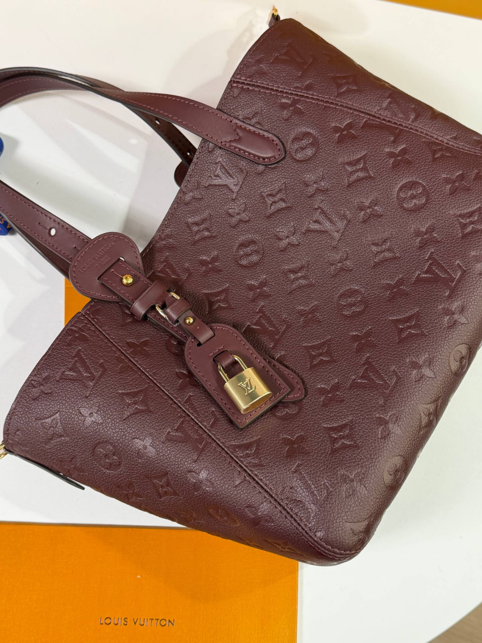Сумка Louis Vuitton 6