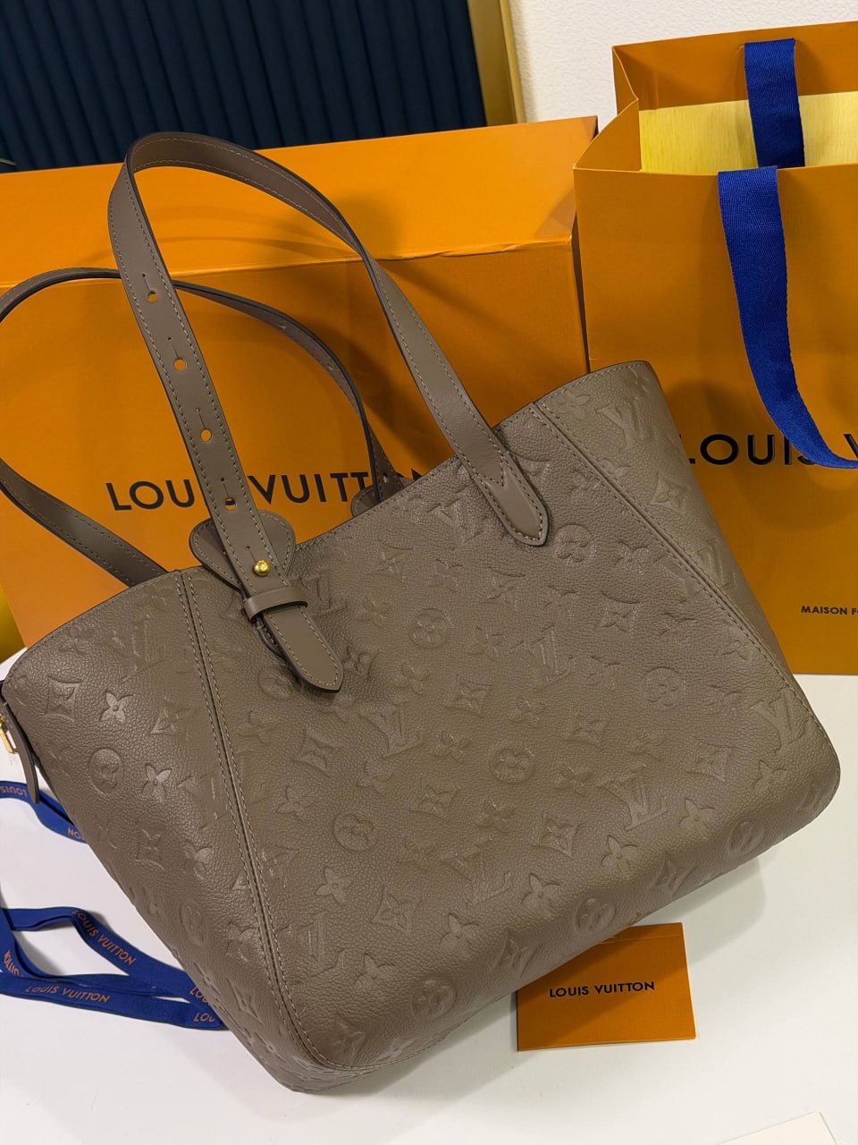 Сумка Louis Vuitton 5