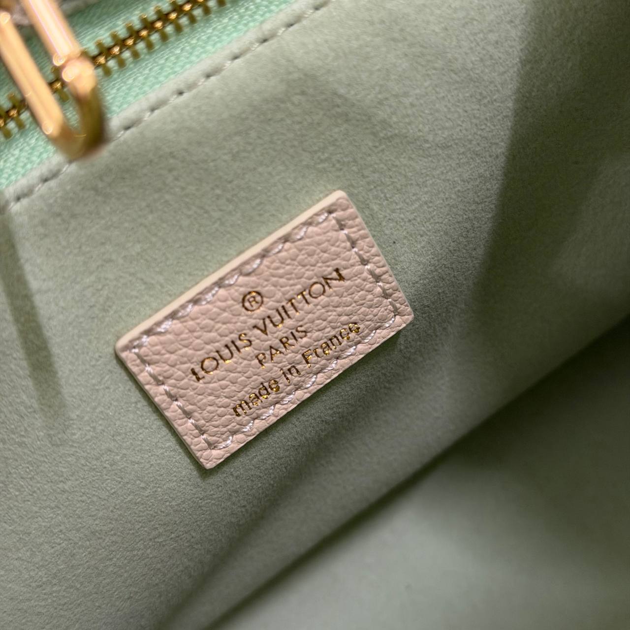 Сумка Louis Vuitton 5