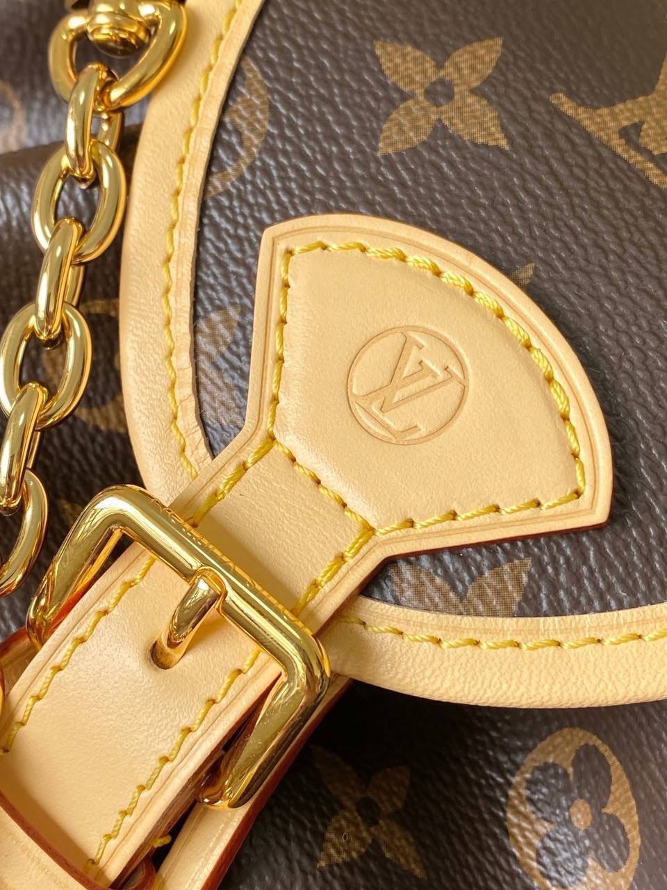 Рюкзак Louis Vuitton 5