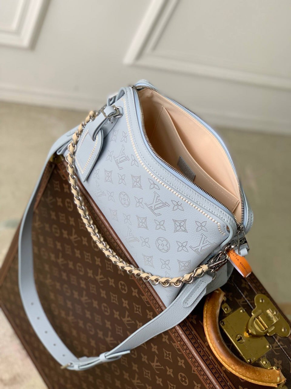 Сумка Louis Vuitton 10