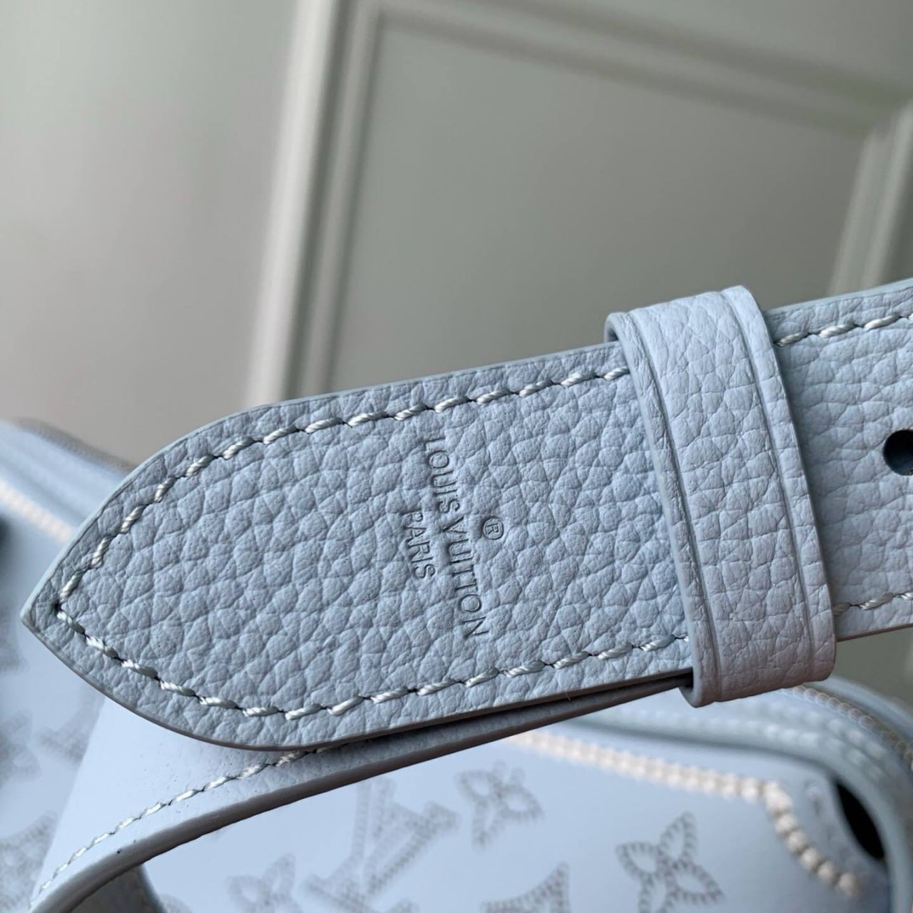 Сумка Louis Vuitton 6