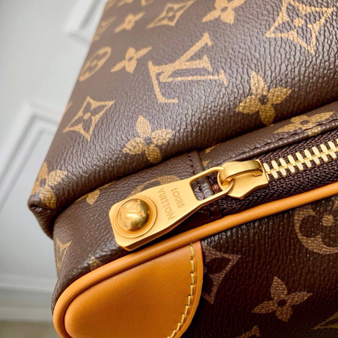 Рюкзак Louis Vuitton 4