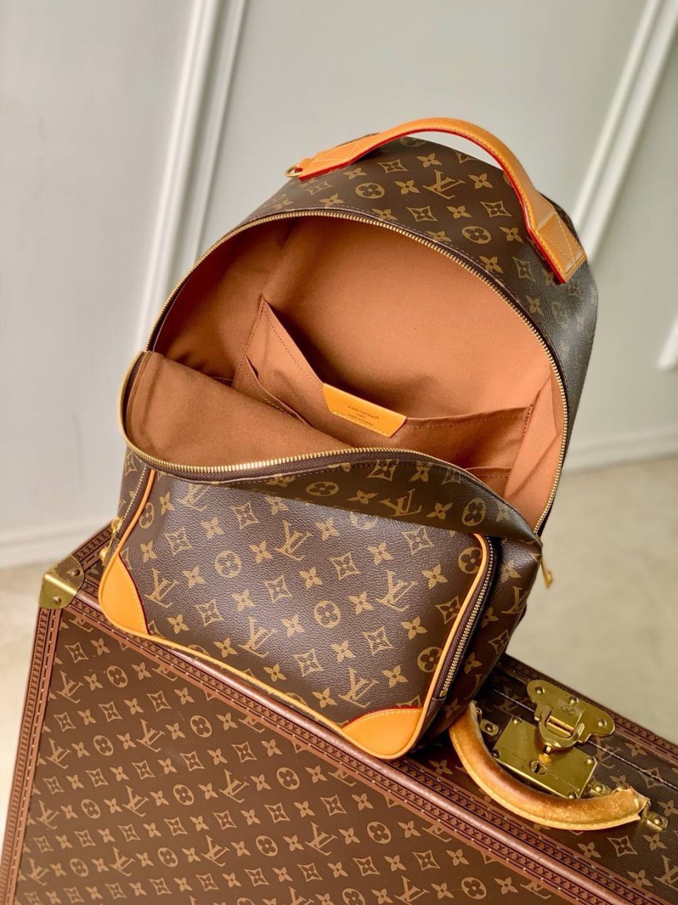 Рюкзак Louis Vuitton 7