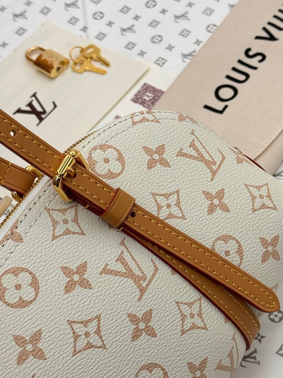Сумка Louis Vuitton 5