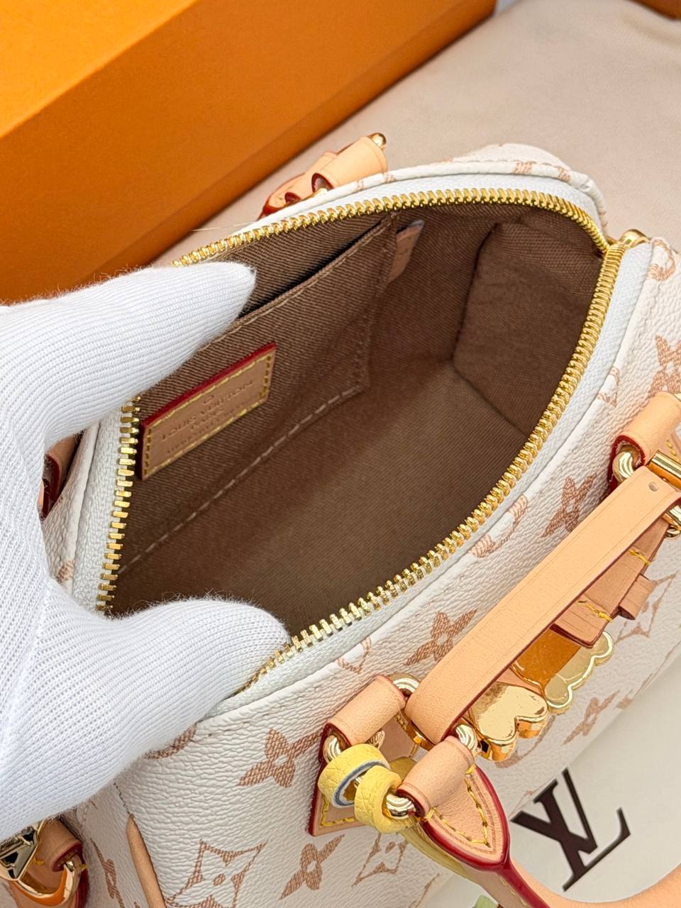 Сумка Louis Vuitton 10
