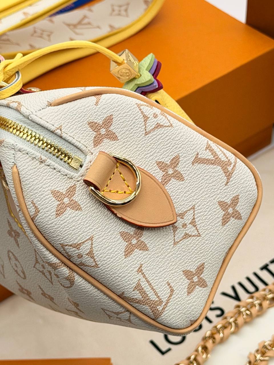 Сумка Louis Vuitton 6