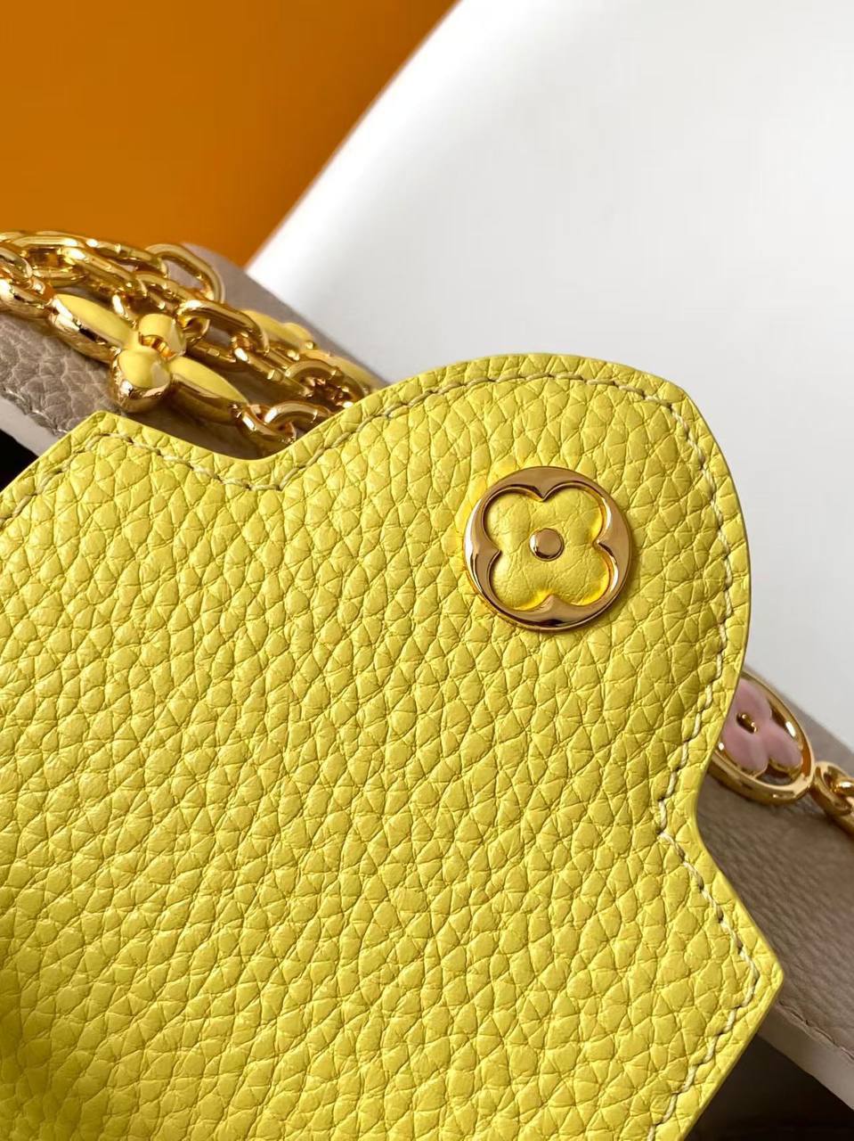 Сумка Louis Vuitton Capucines Mini 5