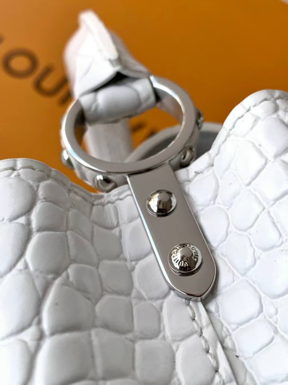 Сумка Louis Vuitton Capucines Mini 6