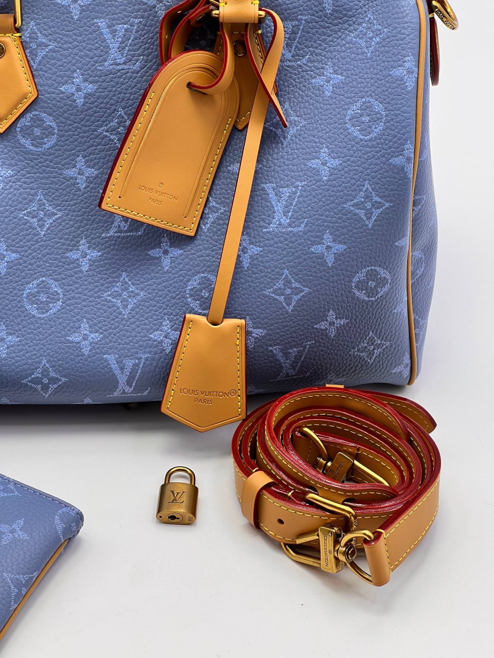 Сумка Louis Vuitton 6